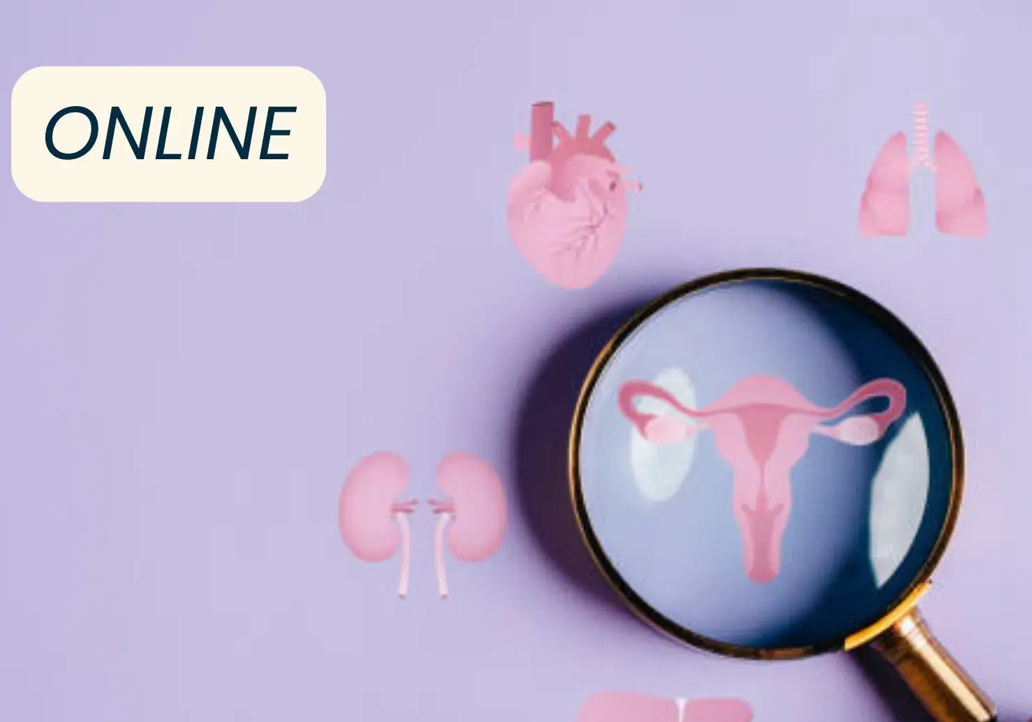 Pre-recorded webinar – Integrative and Osteopathic Approach to Perimenopause & Menopause