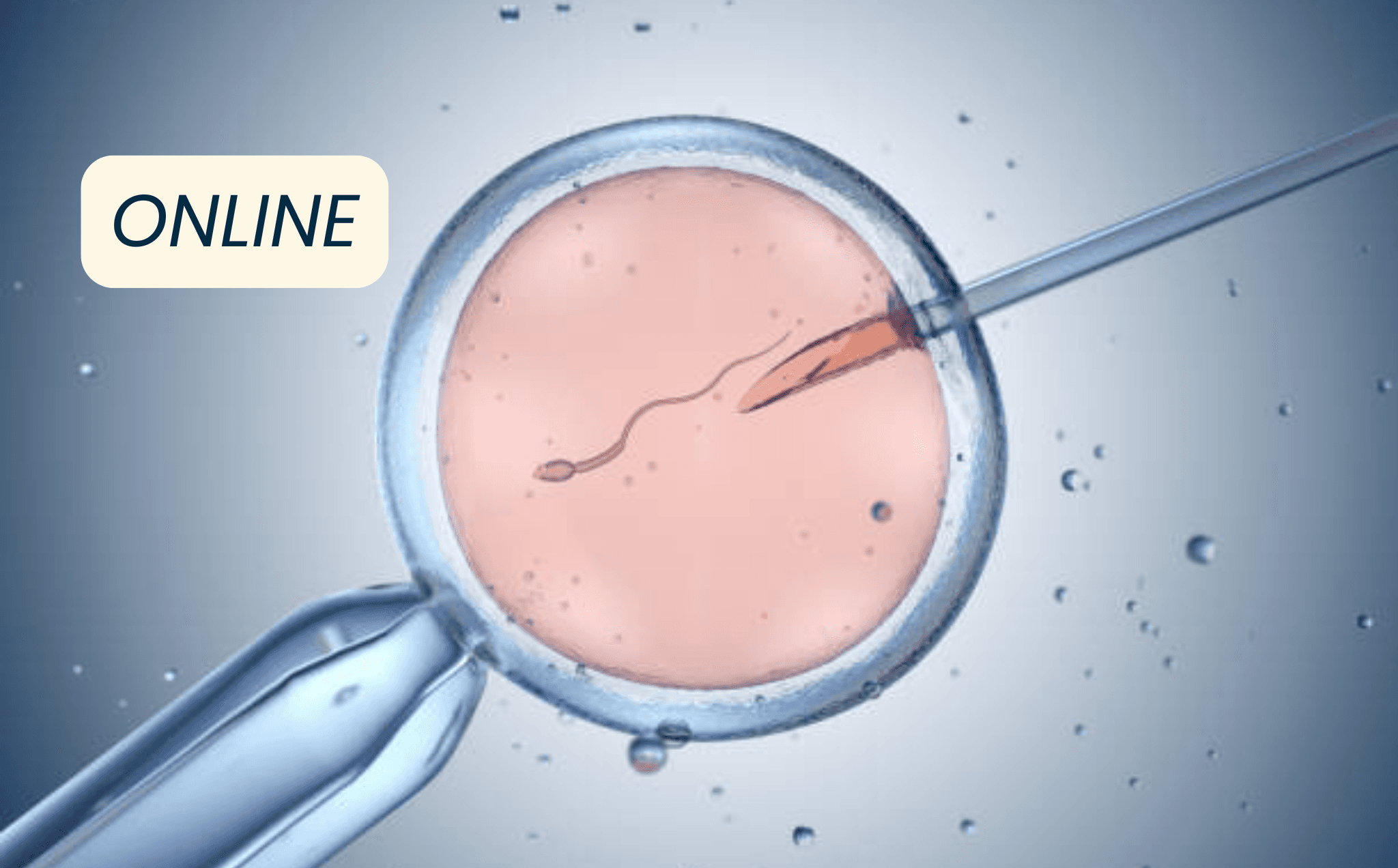 Webinaire en ligne concernant Infertilité et Axe Cerveau-Intestin-Pelvis|GRATUIT