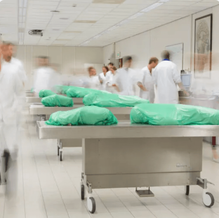 Studenten leren met Enatom